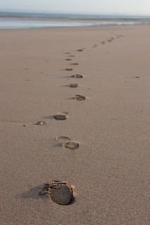 France, region Basse Normandie, Calvados, Trouville sur Mer, Cote fleurie, plage, traces de pas, sable