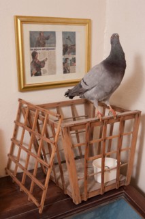 France, Region Ile de France, Hauts de Seine, Suresnes, fort du Mont Valerien, musee de la colombophilie militaire, pigeons, armee, defense, vaillant,