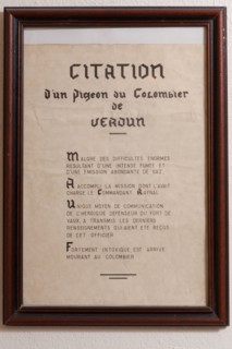France, Region Ile de France, Hauts de Seine, Suresnes, fort du Mont Valerien, musee de la colombophilie militaire, pigeons, armee, defense, vaillant,
