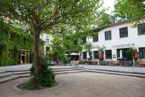 Allemagne, Germany, Berlin, Scheunenviertel, quartier des Granges, cour, arbres et guirlandes lumineuses,