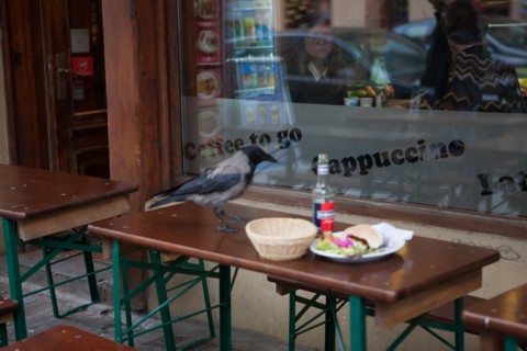Allemagne, Germany, Berlin, Scheunenviertel, quartier des Granges, restaurant, cafe, terrasse