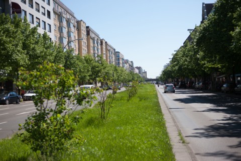 Allemagne (Germany), Berlin, Friedrichshain, immeuble, ancien Berlin Est, avenue avec terre plein central