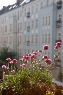 Allemagne (Germany), Berlin, Prenzlauer Berg, Gaudy Strasse, appartement,