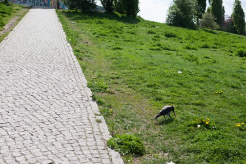 Allemagne (Germany), Berlin, Prenzlauer Berg, Mauer Park, vestiges du Mur de Berlin, jardin public,