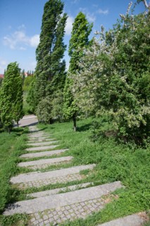 Allemagne (Germany), Berlin, Prenzlauer Berg, Mauer Park, vestiges du Mur de Berlin, jardin public,