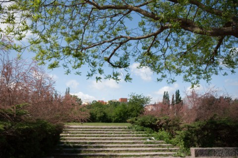 Allemagne (Germany), Berlin, Prenzlauer Berg, Mauer Park, vestiges du Mur de Berlin, jardin public,
