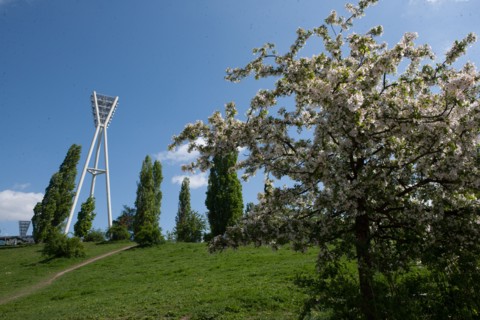 Allemagne (Germany), Berlin, Prenzlauer Berg, Mauer Park, vestiges du Mur de Berlin, jardin public,
