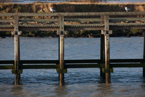 France, region Basse Normandie, Calvados, Cote fleurie, Trouville-sur-Mer, plage, jetee, estacade, phare, mer