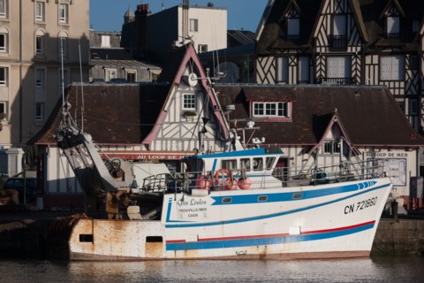 France, region Basse Normandie, Calvados, Cote fleurie, Trouville-sur-Mer, port, chalutiers a quai, mouettes, eau, la Touques,