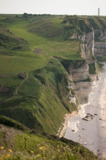 France, region Haute Normandie, Seine Maritime, pays des hautes falaises, Etretat, Valleuse d'Antifer, le tilleul,