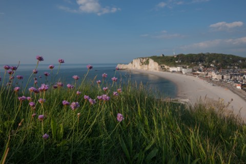France, region Haute Normandie, Seine Maritime, pays des hautes falaises, Etretat, falaise d'aval,
