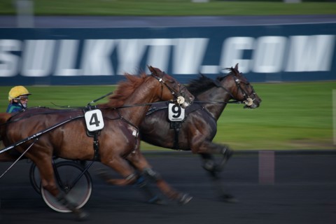 France, Ile de France, Val-de-Marne, Boissy-Saint-Leger, centre d'entrainement de Grosbois, chateau, trot, courses hippiques,