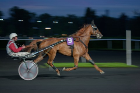 France, Ile de France, Val-de-Marne, Boissy-Saint-Leger, centre d'entrainement de Grosbois, chateau, trot, courses hippiques,
