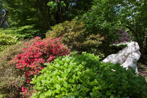 France, Ile de France, Hauts-de-Seine, ville de Clichy-la-Garenne, parc Roger Salengro,
Copyright notice: CRT PIdF