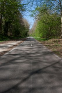 France, Ile de France, Essonne, Milly-la-Foret, foret de Milly
Mention obligatoire : CRT PIdF