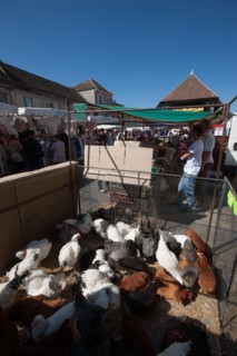 France, Ile de France, Essonne, Milly-la-Foret, halles du marche,
Mention obligatoire : CRT PIdF