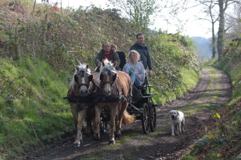 France, Haute Normandie, Seine Maritime, Abbaye du Valasse, journee des sports, randonnee, equitation, attelage et vtt, 30 mars 2014,