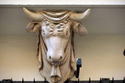 France, Ile de France, Paris 3e arrondissement, Le Marais, 67 rue de Turenne, detail de tete de taureau soutenant le balcon, facade sur rue, immeuble, ancienne boucherie sous le Premier Empire