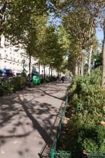 France, Ile de France, Paris 10e arrondissement, boulevard de la Villette, Belleville, promenade centrale,