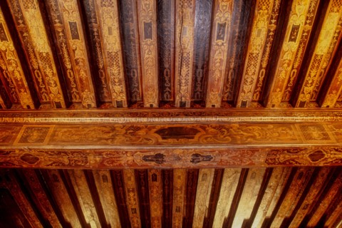 France, Ile de France, Paris 5e arrondissement, 47 quai des Tournelles, Hotel Miramion, ancien musee de la Medecine, desormais propriete privee, detail du plafond peint,