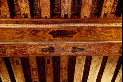 France, Ile de France, Paris 5e arrondissement, 47 quai des Tournelles, Hotel Miramion, ancien musee de la Medecine, desormais propriete privee, detail du plafond peint,