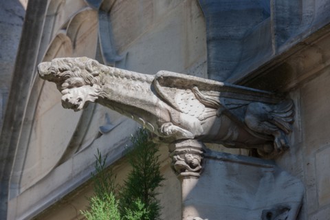 France, Ile de France, Paris 5e arrondissement, cloitre de l'eglise Saint-Severin, ancien charnier, cimetiere, voutes,