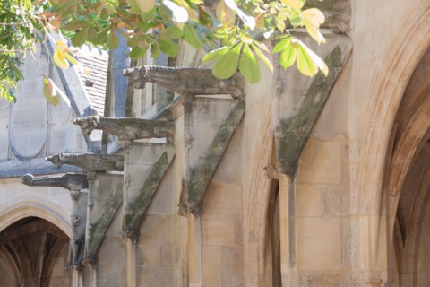 France, Ile de France, Paris 5e arrondissement, cloitre de l'eglise Saint-Severin, ancien charnier, cimetiere, voutes,