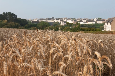 Plouhinec
