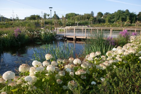 France, région Pays de la Loire, Loire Atlantique, Pornic, ria de Pornic, jardin paysagé.
