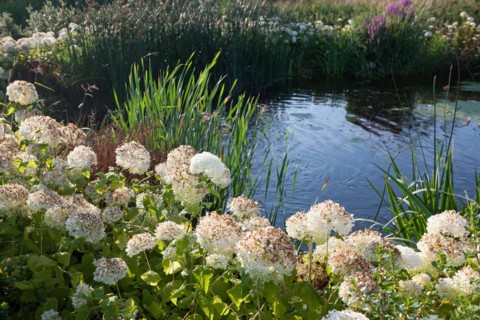 France, région Pays de la Loire, Loire Atlantique, Pornic, ria de Pornic, jardin paysagé.
