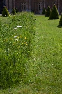 France, Région Ile de France, Paris 3e arrondissement, le Marais, jardin de l'Hôtel de Soubise,