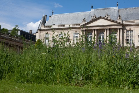 France, Région Ile de France, Paris 3e arrondissement, le Marais, jardin de l'Hôtel de Soubise,
