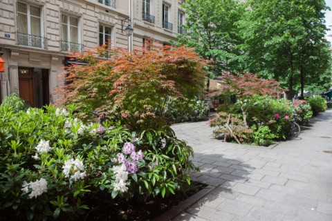 France, Région Ile de France, Paris 4e arrondissement, le Marais, Rue du Trésor, fleurs et