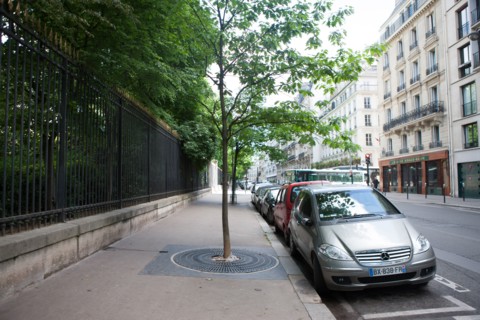 France, Région Ile de France, Paris 6e arrondissement, Jardin du Luxembourg, Rue Guynemer, bordée
