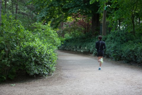 France, Région Ile de France, Paris 6e arrondissement, Jardin du Luxembourg,