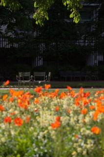 France, Région Ile de France, Paris 6e arrondissement, Jardin du Luxembourg,