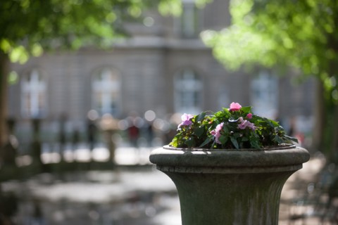 France, Région Ile de France, Paris 6e arrondissement, Jardin du Luxembourg, au bord de la Fontaine