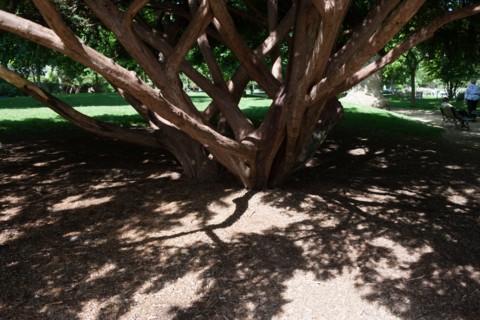 Paris 8e arrondissement,  Parc Monceau