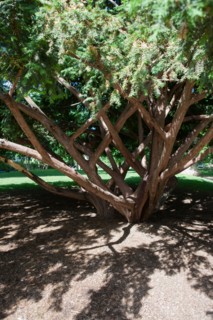 Paris 8e arrondissement,  Parc Monceau