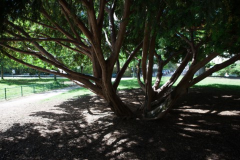 Paris 8e arrondissement,  Parc Monceau