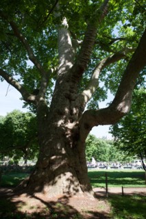 Paris 8e arrondissement,  Parc Monceau