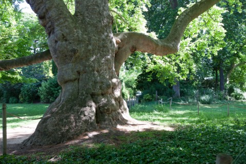 Paris 8e arrondissement,  Parc Monceau