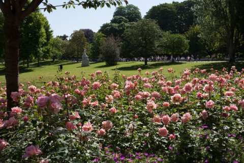 Paris 8e arrondissement,  Parc Monceau