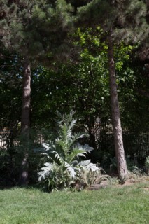 Paris 8e arrondissement,  Parc Monceau