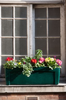 France, Région Ile de France, Paris 10e arrondissement, Rue de la Grange aux Belles, détail fleurs