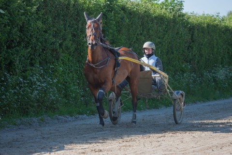 France, Région Basse Normandie, Manche, Haras de Bellevent, écurie Pierre Levesque, entraînement de