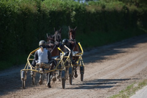 France, Région Basse Normandie, Manche, Haras de Bellevent, écurie Pierre Levesque, entraînement de