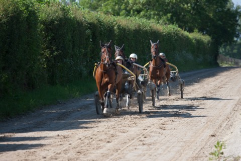 France, Région Basse Normandie, Manche, Haras de Bellevent, écurie Pierre Levesque, entraînement de
