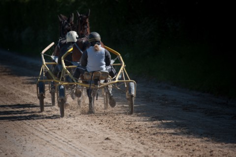 France, Région Basse Normandie, Manche, Haras de Bellevent, écurie Pierre Levesque, entraînement de
