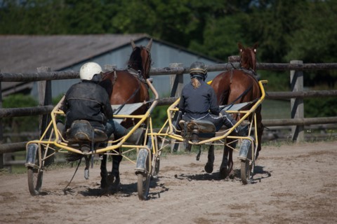 France, Région Basse Normandie, Manche, Haras de Bellevent, écurie Pierre Levesque, entraînement de